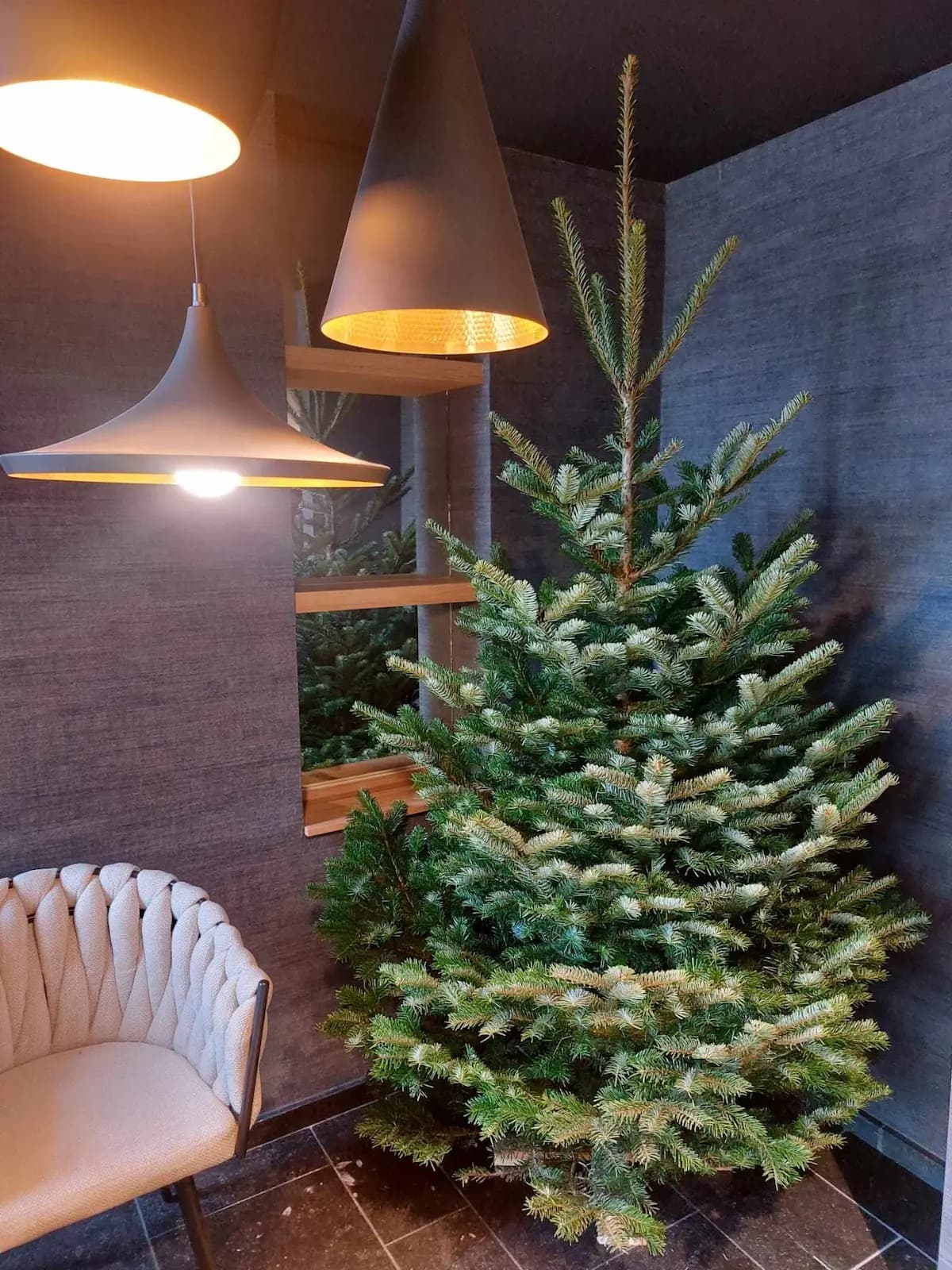 Sapin Nordmann installé sur son pied en bois dans un salon.